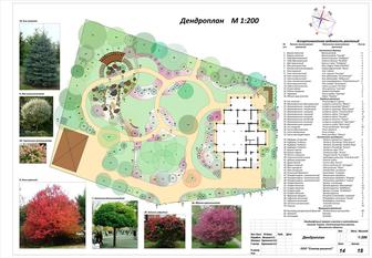 Разработка дендроплана (ландшафта) участка любого назначения.