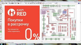 Разработка дендроплана, возможна оплата Kaspi Red и Kaspi РАССРОЧКА 0-0-12