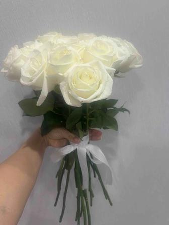Продам букет из 25 роз свежие украшены лентой, без бумаги и оформления