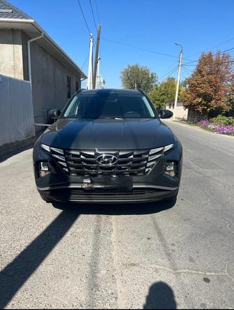 Аренда авто Шымкент