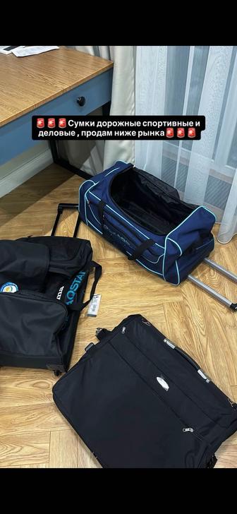 Сумки спортивные и деловая