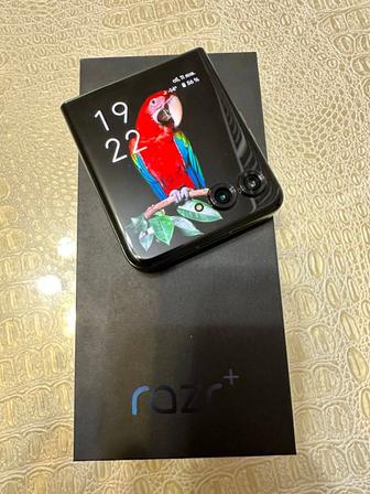 Motorola razr 2024 plus