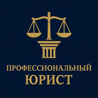 Профессиональный юрист