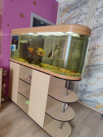Аквариум jebo с тумбой