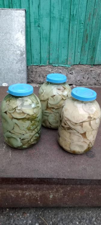 Продам соленые грузди
