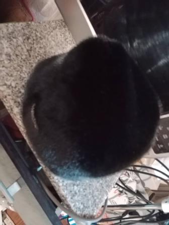 Пилотка меховая шапка (ЭКО норка)