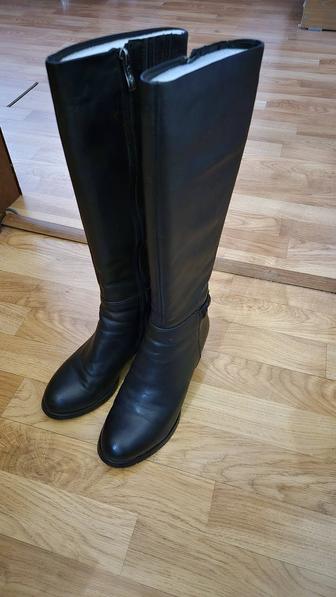 Продам сапожки (классика) - 36р.