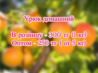 Урюк домашний