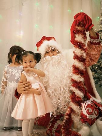 Дед Мороз и Снегурочка на дом, Новый год, аниматоры