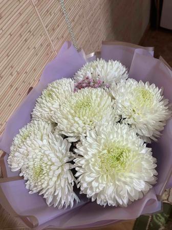 Продаю цветы