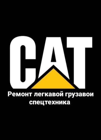 Авто электрик мехакни