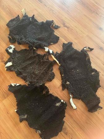 Шкурки каракуля