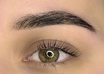 Брови и ресницы