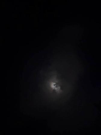 Пишу текста для песен на заказ