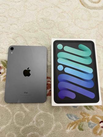Ipad mini 6