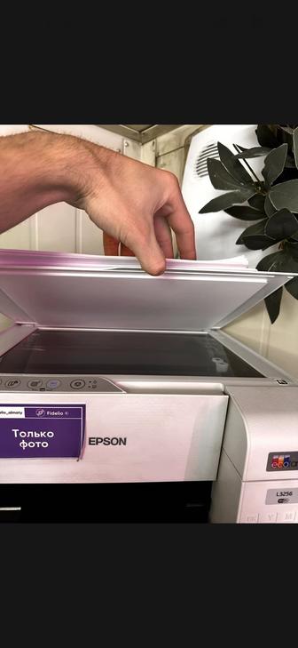 принтер Epson L3250