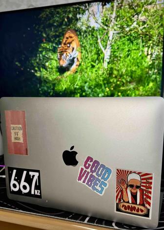 MacBook Pro A1708 (13-inch, 2017, 8, 256)