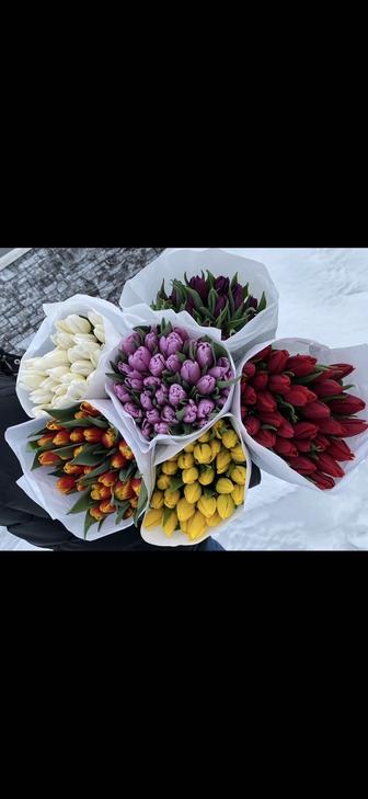 тюльпаны 8 марта