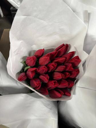 Продам тюльпаны оптом , в большом количестве . На 8 марта