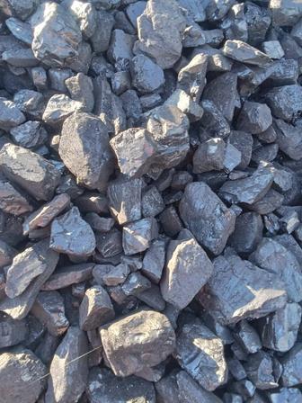 Уголь все для дома