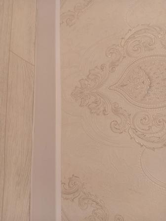 Плентус жұмысын жасаймын