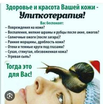 Улитки для лица