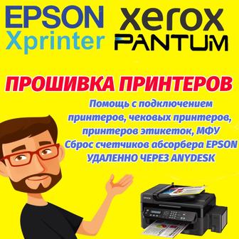 Прошивка принтеров Pantum. Сброс памперса Epson. Программный ремонт