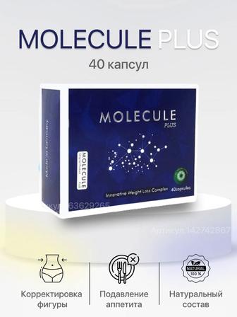 molecule plus