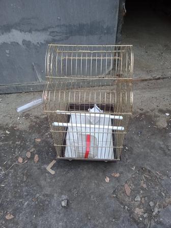 Сетка для попугая