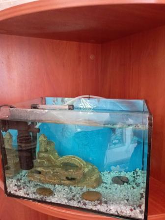 Аквариум без рыб