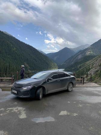 Трезвый водитель