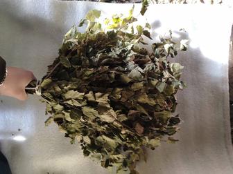 Продам березовые банные веники