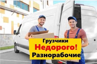 Услуги Грузчики от 5