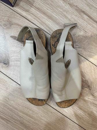 Тапочки Shoiberg