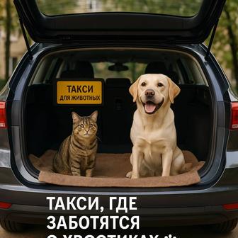 Такси для животных