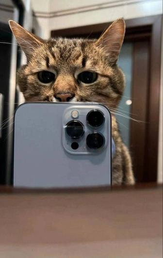 Верификация регистрация смартфона