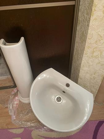 Раковина тюльпан