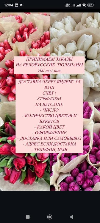 Белорусские тюльпаны на 8 марта