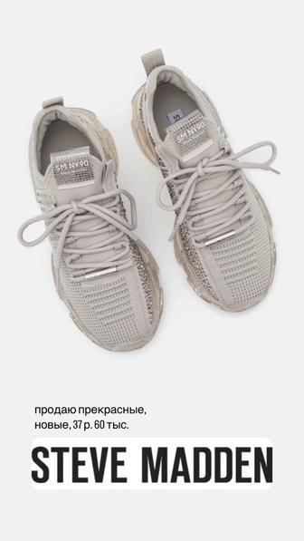 кроссовки Steve Madden