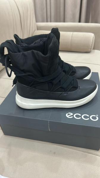 Продам ботинки ecco