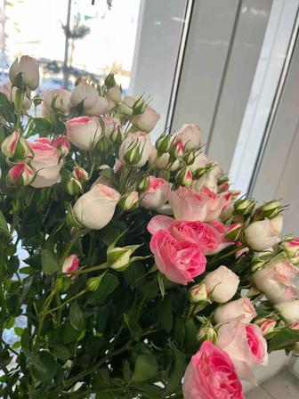 Цветы, букеты круглосуточно