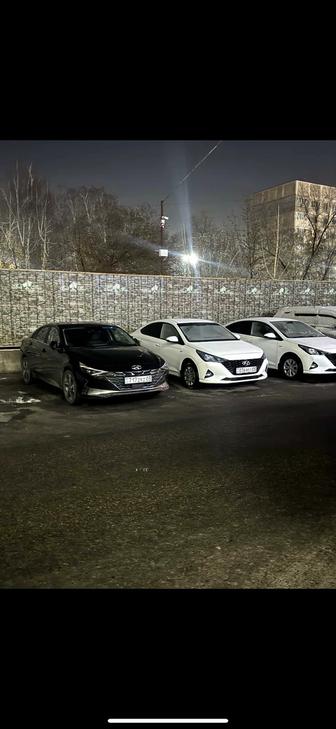 Аренда авто с выкупом