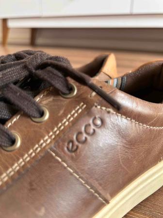 Туфли мужские ECCO