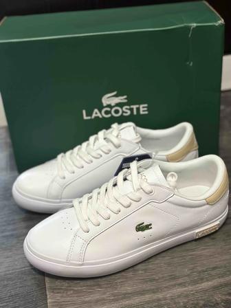 Lacoste Кеды