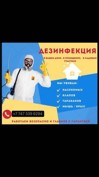 Дезинфекция клопов, тараканов, насекомых.