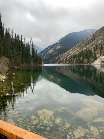Мобилография курсы