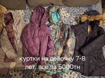 Куртки и одежда