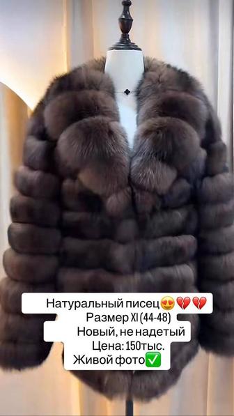 Шуба песец