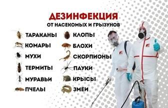 Дезинфекция 24/7