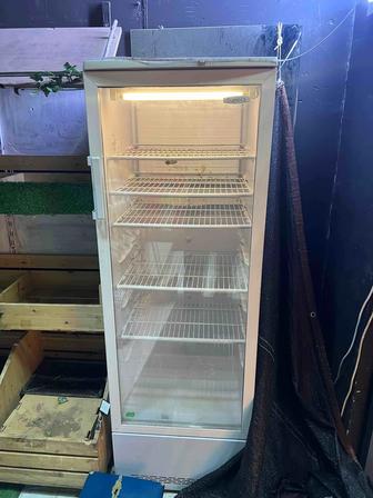 Витриной холодильник